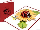 Popcards popupkaarten - Lieveheersbeestje op zonnebloem Ladybird Bloem Bloemen pop-up kaart 3D wenskaart