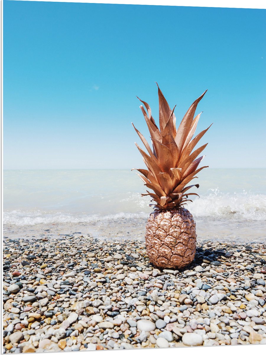 PVC Schuimplaat - Ananas op Kiezelstenen - 75x100 cm Foto op PVC Schuimplaat (Met Ophangsysteem)