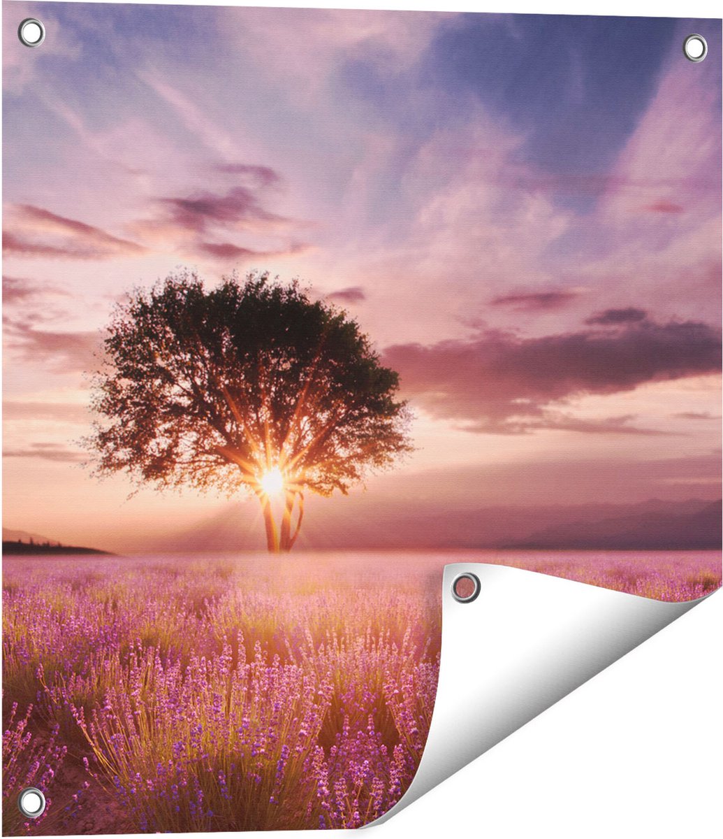 Gards Tuinposter Bloemenveld met Lavendel bij Zonsondergang - 50x50 cm - Tuindoek - Tuindecoratie - Wanddecoratie buiten - Tuinschilderij Multikleur