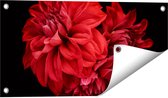Gards Tuinposter Rode Dahlia Bloemen - 60x30 cm - Tuindoek - Tuindecoratie - Wanddecoratie buiten - Tuinschilderij
