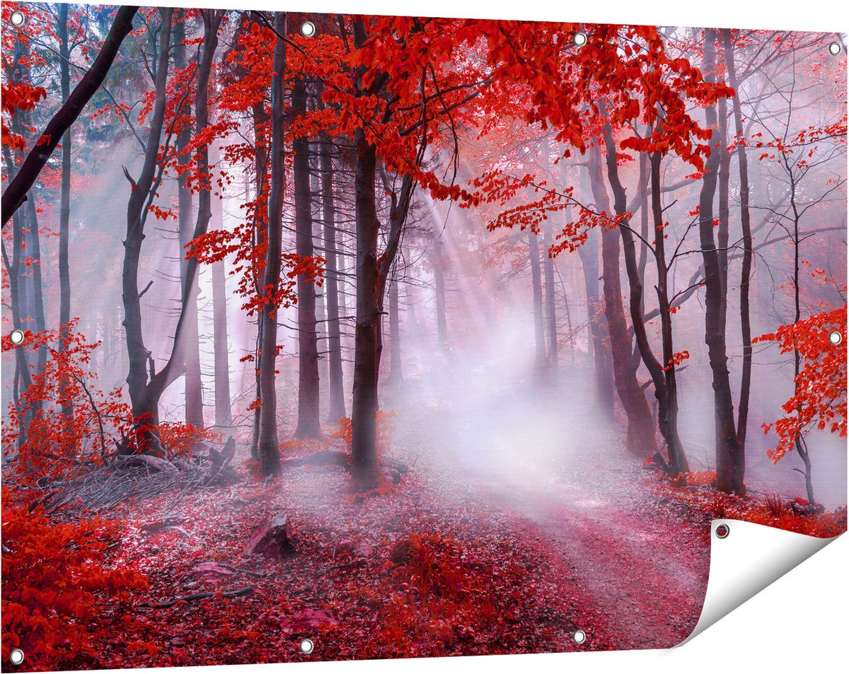 Gards Tuinposter Rood Bos met Bomen - 120x80 cm - Tuindoek - Tuindecoratie - Wanddecoratie buiten - Tuinschilderij Multikleur