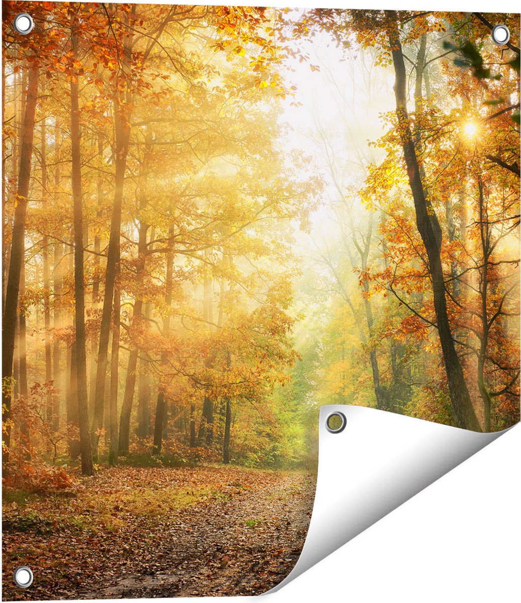 Gards Tuinposter Herfstbos met Zonneschijn - 50x50 cm - Tuindoek - Tuindecoratie - Wanddecoratie buiten - Tuinschilderij Multikleur