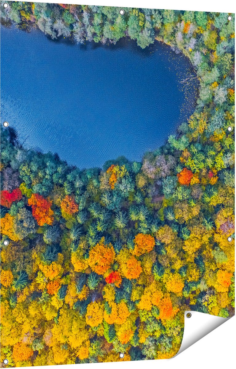 Gards Tuinposter Kleurrijke Bos met Bomen naast een Meer - 90x120 cm - Tuindoek - Tuindecoratie - Wanddecoratie buiten - Tuinschilderij Multikleur