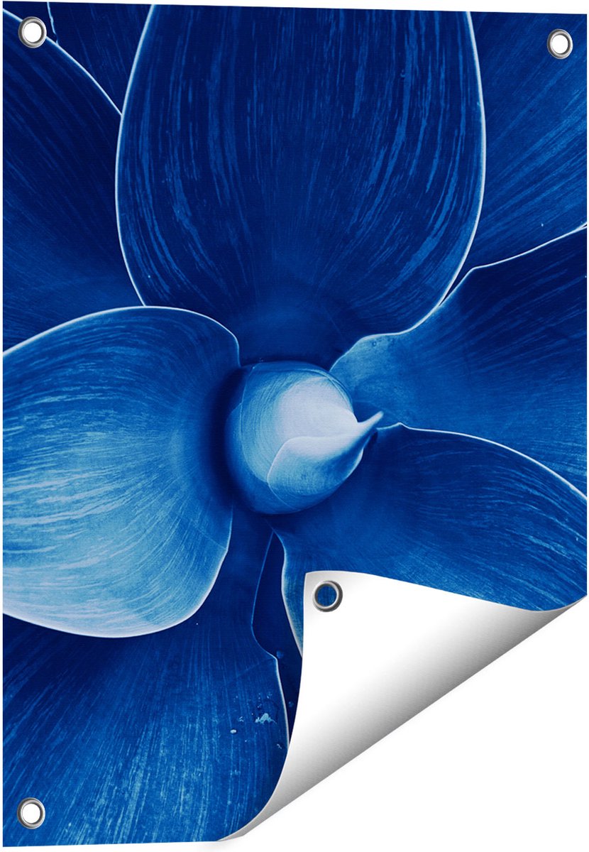 Gards Tuinposter Blauwe Agave Plant - Bloem - 40x50 cm - Tuindoek - Tuindecoratie - Wanddecoratie buiten - Tuinschilderij Multikleur