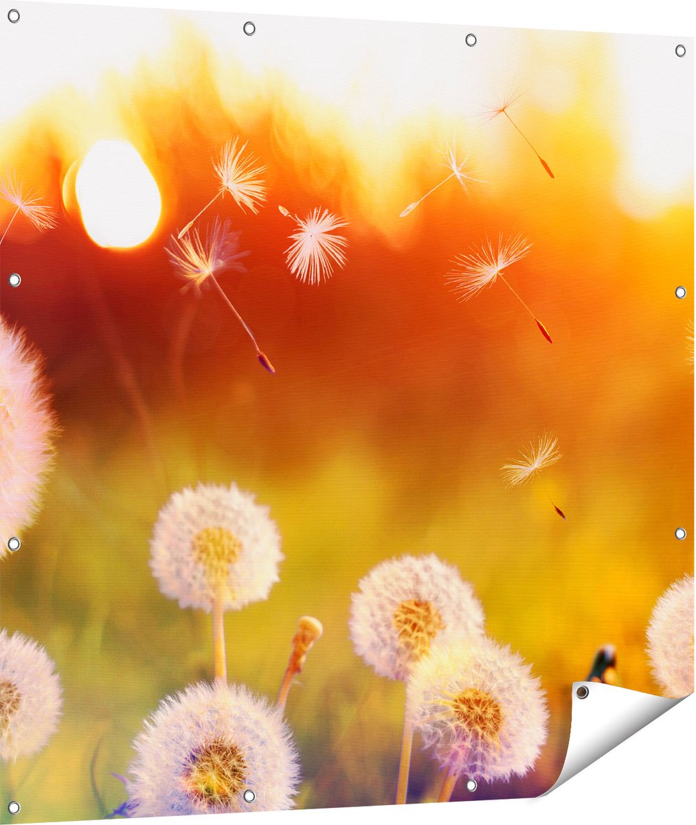 Gards Tuinposter Paardenbloemen tijdens Zonsondergang - 110x110 cm - Tuindoek - Tuindecoratie - Wanddecoratie buiten - Tuinschilderij Multikleur
