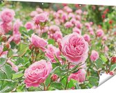 Gards Tuinposter Roze Rozen Bloemenveld - 150x100 cm - Tuindoek - Tuindecoratie - Wanddecoratie buiten - Tuinschilderij