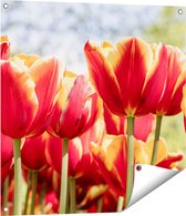 Gards Tuinposter Oranje Rode Tulpen - 70x70 cm - Tuindoek - Tuindecoratie - Wanddecoratie buiten - Tuinschilderij