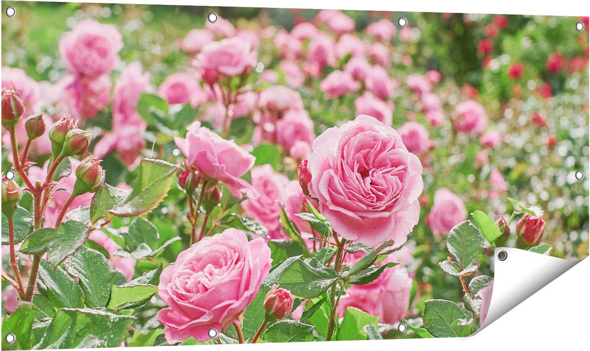 Gards Tuinposter Roze Rozen Bloemenveld - 120x60 cm - Tuindoek - Tuindecoratie - Wanddecoratie buiten - Tuinschilderij Multikleur