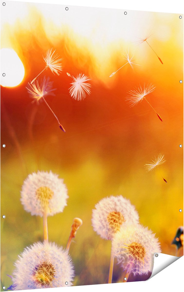 Gards Tuinposter Paardenbloemen tijdens Zonsondergang - 120x160 cm - Tuindoek - Tuindecoratie - Wanddecoratie buiten - Tuinschilderij Multikleur
