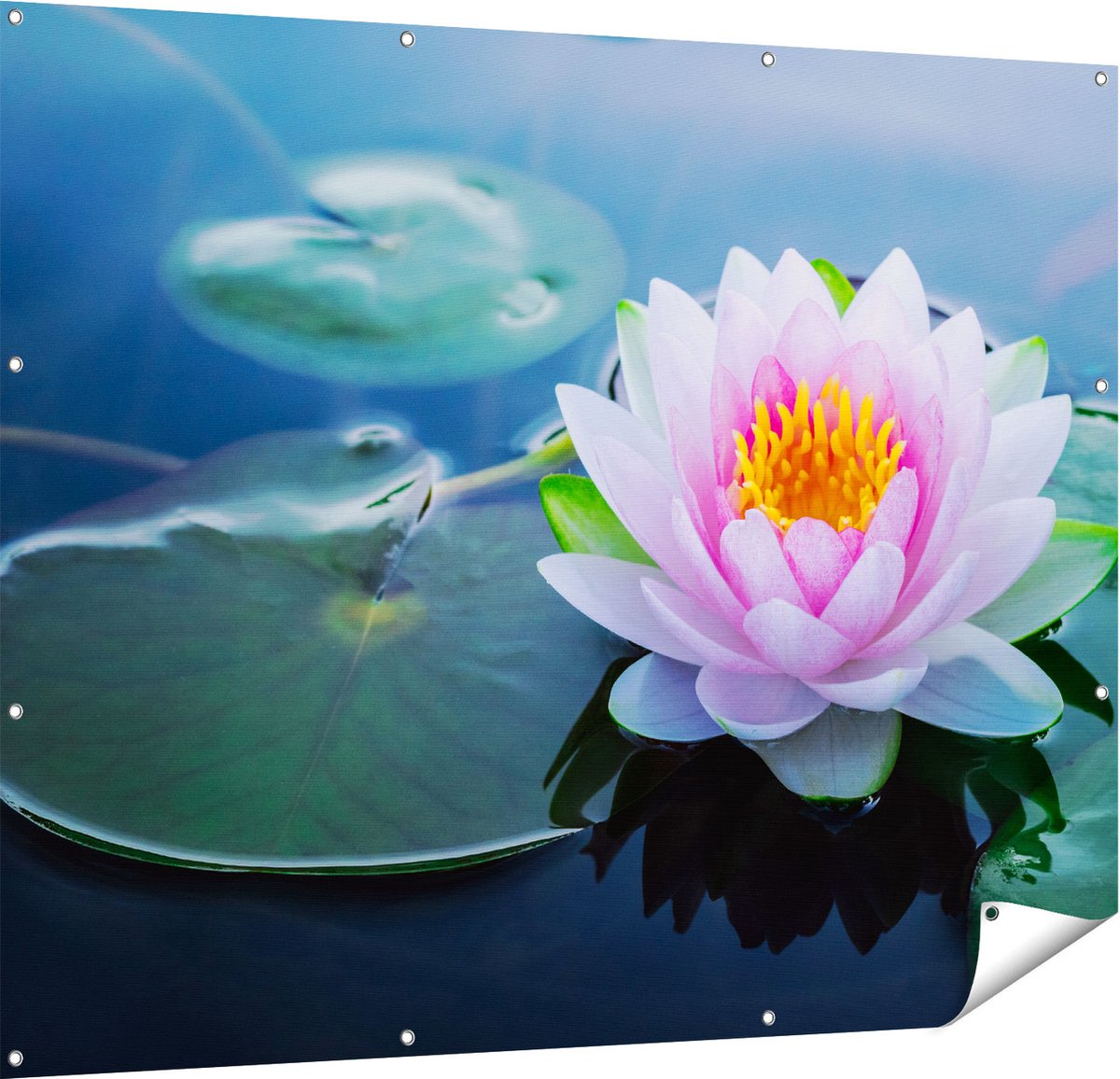 Gards Tuinposter Roze Lotusbloem met Waterlelies - 150x120 cm - Tuindoek - Tuindecoratie - Wanddecoratie buiten - Tuinschilderij Multikleur