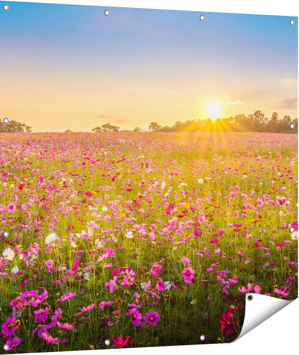 Gards Tuinposter Bloemenveld met Roze Kosmos - 110x110 cm - Tuindoek - Tuindecoratie - Wanddecoratie buiten - Tuinschilderij Multikleur