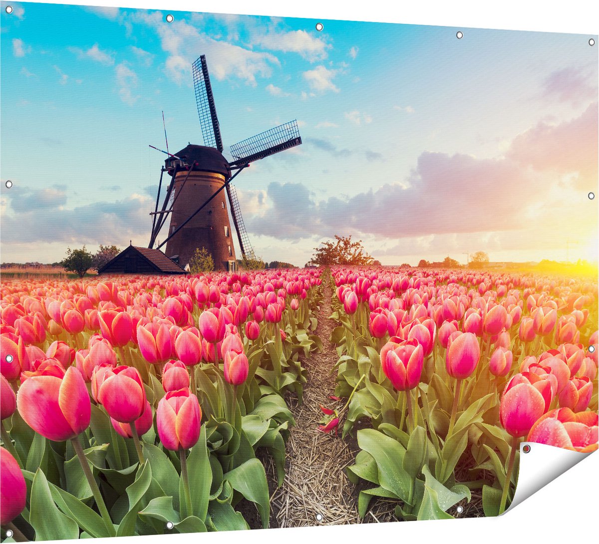 Gards Tuinposter Roze Tulpen Bloemenveld - met Windmolen - 160x120 cm - Tuindoek - Tuindecoratie - Wanddecoratie buiten - Tuinschilderij Multikleur