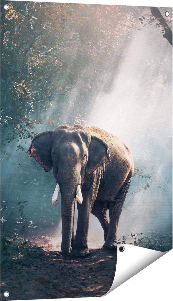 Gards Tuinposter Olifant in het Bos met Zonneschijn - 60x90 cm - Tuindoek - Tuindecoratie - Wanddecoratie buiten - Tuinschilderij Multikleur