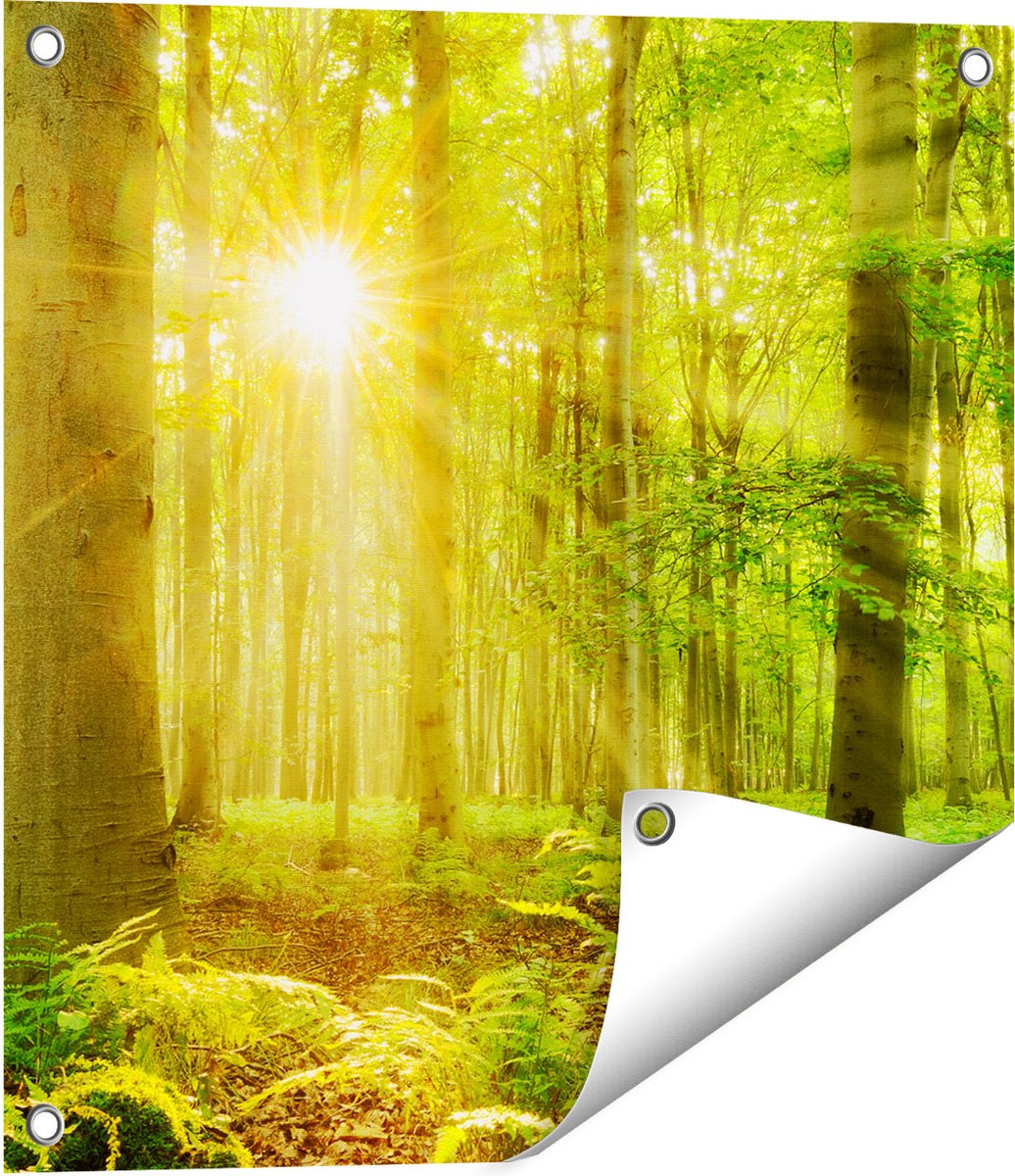 Gards Tuinposter Groen Bos met Schijnende Zonnestralen - 50x50 cm - Tuindoek - Tuindecoratie - Wanddecoratie buiten - Tuinschilderij Multikleur