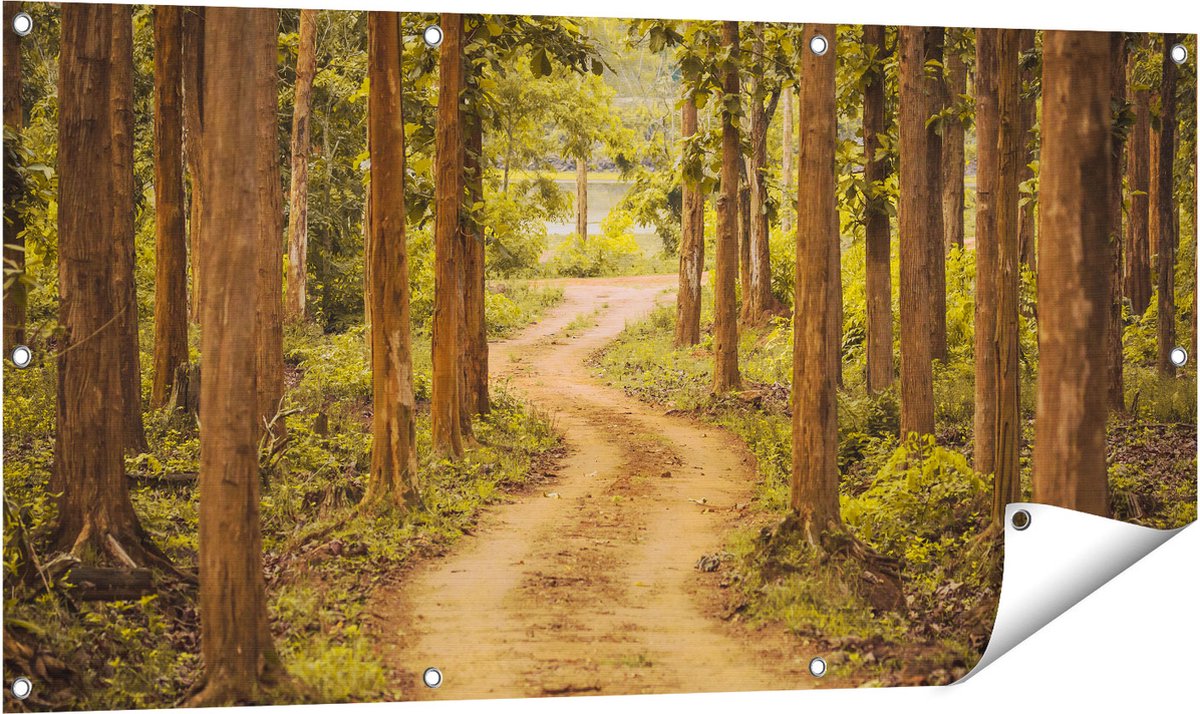 Gards Tuinposter Pad in het Bos met Bomen - 120x60 cm - Tuindoek - Tuindecoratie - Wanddecoratie buiten - Tuinschilderij Multikleur