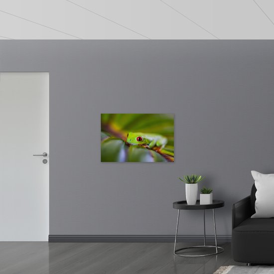 Poster (Mat) - Exotische Gifgroene Kikker met Rode Ogen op Groen Blad - 90x60 cm Foto op Posterpapier met een Matte look