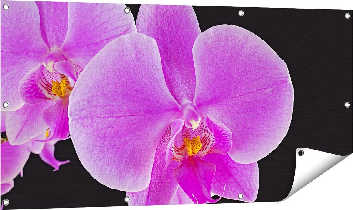 Gards Tuinposter Licht Paarse Orchidee - Bloem - 120x60 cm - Tuindoek - Tuindecoratie - Wanddecoratie buiten - Tuinschilderij Multikleur