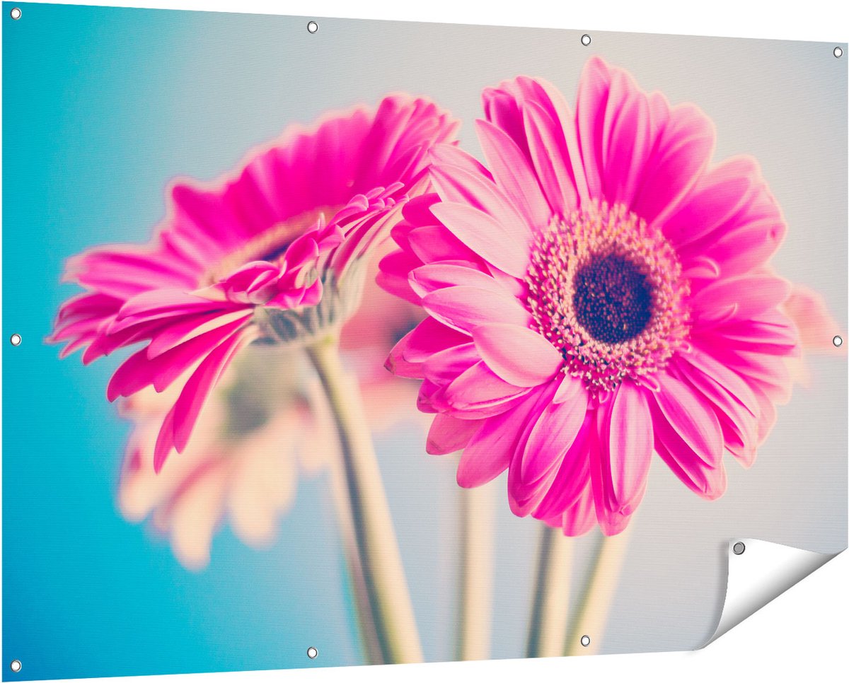 Gards Tuinposter Twee Roze Anjers - Bloemen - 150x100 cm - Tuindoek - Tuindecoratie - Wanddecoratie buiten - Tuinschilderij Multikleur