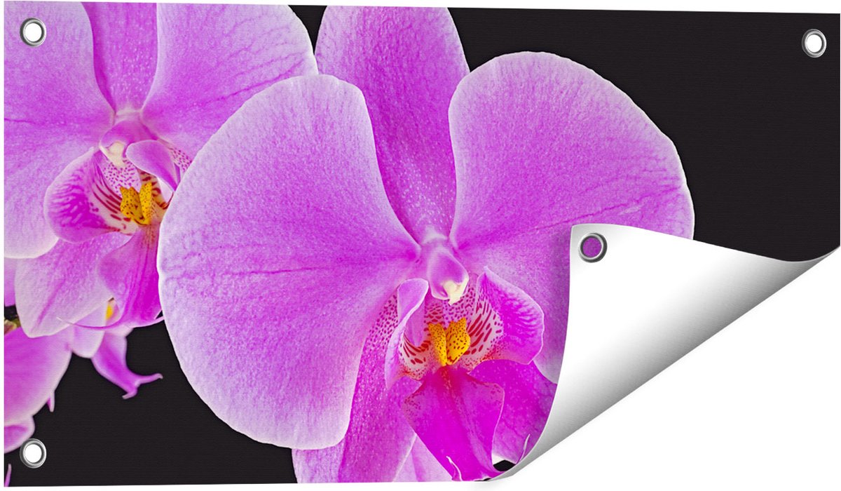 Gards Tuinposter Licht Paarse Orchidee - Bloem - 60x30 cm - Tuindoek - Tuindecoratie - Wanddecoratie buiten - Tuinschilderij Multikleur