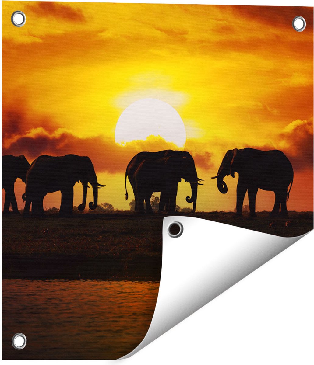 Gards Tuinposter Silhouet Olifanten tijdens Zonsondergang - 40x40 cm - Tuindoek - Tuindecoratie - Wanddecoratie buiten - Tuinschilderij Multikleur