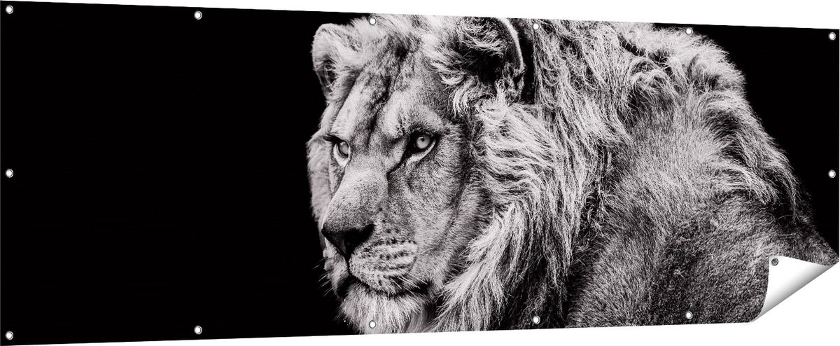 Gards Tuinposter Leeuw - Zwart Wit - 210x70 cm - Tuindoek - Tuindecoratie - Wanddecoratie buiten - Tuinschilderij Multikleur