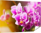 Gards Tuinposter Paarse Orchidee Bloemen - 150x100 cm - Tuindoek - Tuindecoratie - Wanddecoratie buiten - Tuinschilderij