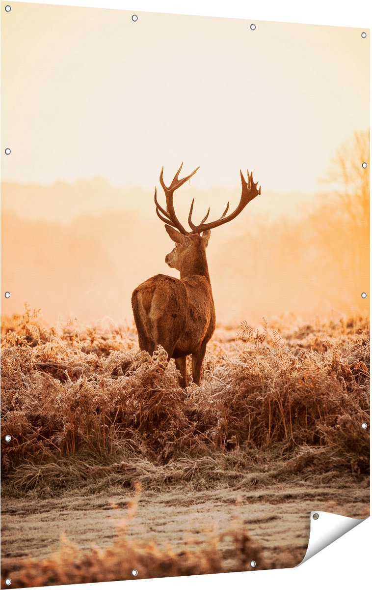 Gards Tuinposter Hert in de Wei tijdens de Zonsopkomst - 120x160 cm - Tuindoek - Tuindecoratie - Wanddecoratie buiten - Tuinschilderij Multikleur
