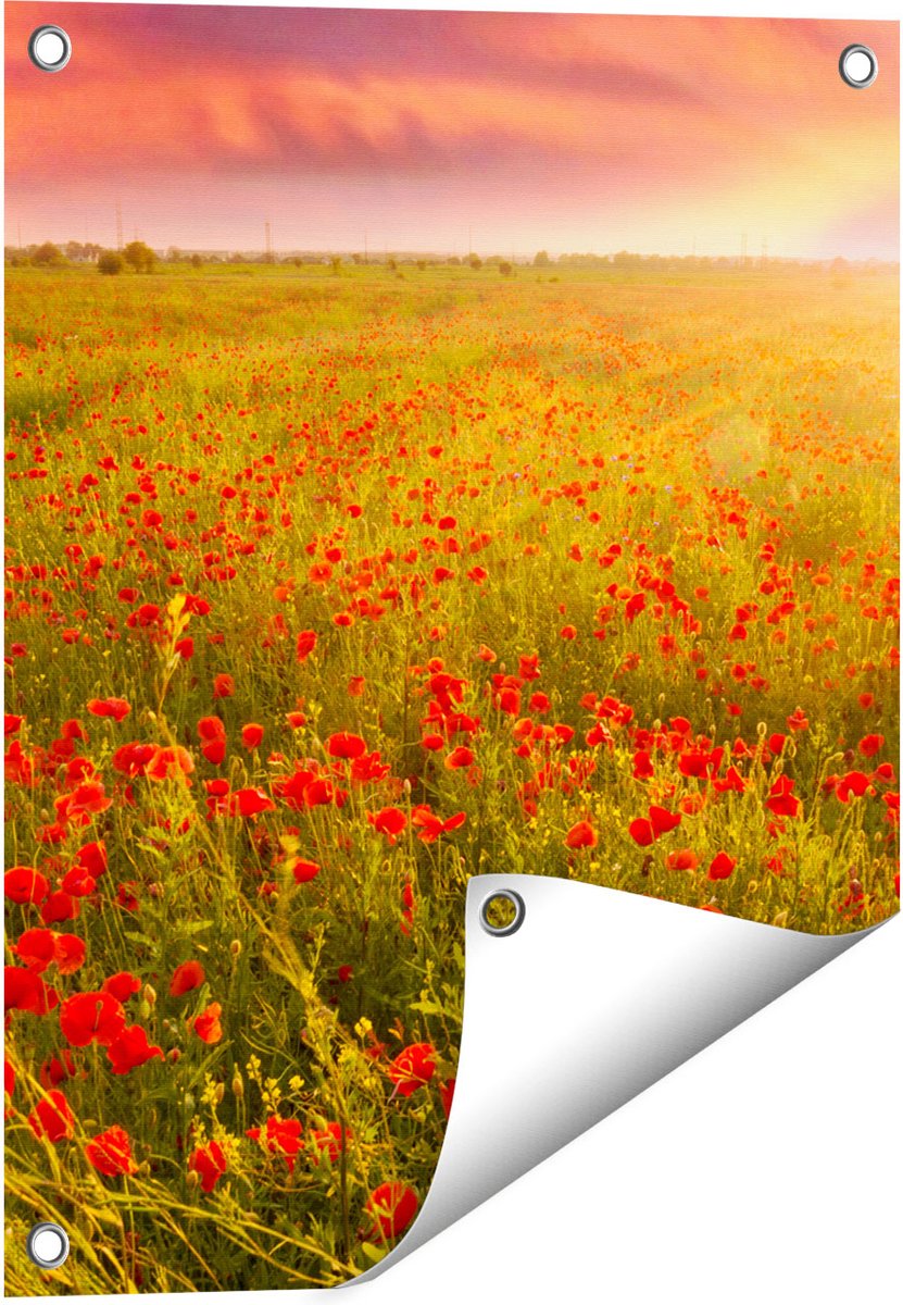 Gards Tuinposter Rode Klaproos Bloemenveld - Zonsondergang - 40x50 cm - Tuindoek - Tuindecoratie - Wanddecoratie buiten - Tuinschilderij Multikleur