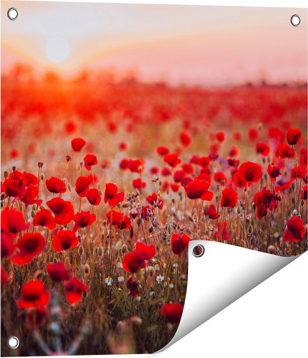 Tapis Rond 60 Cm Motif Coquelicots Coucher De Soleil - Fausse Laine Douce, Antidérapant, Lavable Machine - 5