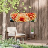 Gards Tuinposter Oranje Dahlia Bloemen - 120x40 cm - Tuindoek - Tuindecoratie - Wanddecoratie buiten - Tuinschilderij