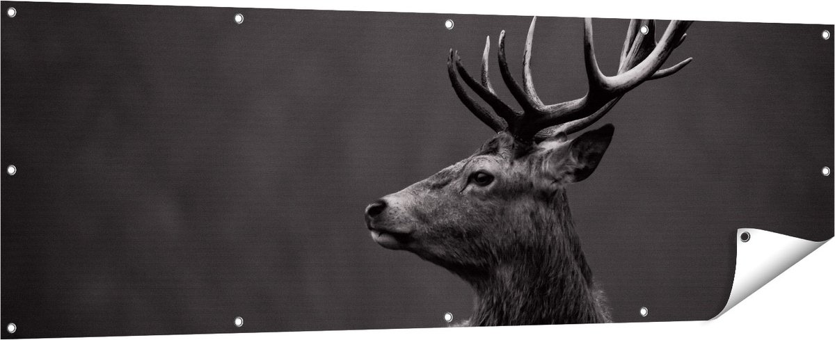 Gards Tuinposter Hertenkop - Hert - Zwart Wit - 180x60 cm - Tuindoek - Tuindecoratie - Wanddecoratie buiten - Tuinschilderij Multikleur