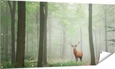 Gards Tuinposter Hert in Bos - 160x80 cm - Tuindoek - Tuindecoratie - Wanddecoratie buiten - Tuinschilderij