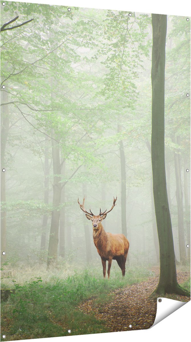 Gards Tuinposter Hert in Bos - 120x180 cm - Tuindoek - Tuindecoratie - Wanddecoratie buiten - Tuinschilderij Multikleur