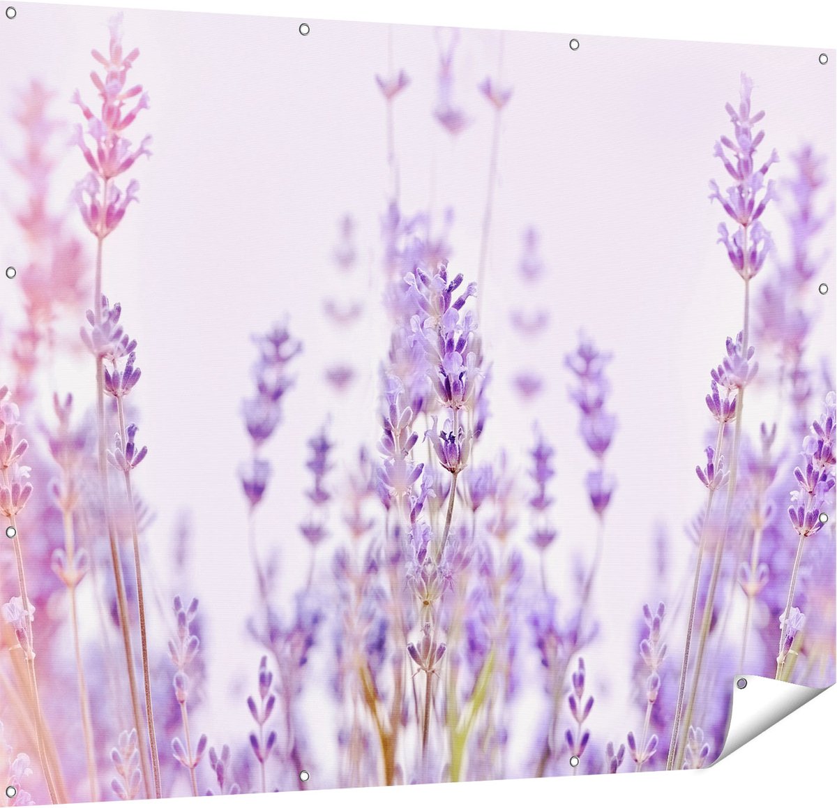 Gards Tuinposter Paarse Lavendel Bloemen - 150x120 cm - Tuindoek - Tuindecoratie - Wanddecoratie buiten - Tuinschilderij Multikleur