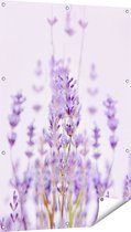 Gards Tuinposter Paarse Lavendel Bloemen - 80x120 cm - Tuindoek - Tuindecoratie - Wanddecoratie buiten - Tuinschilderij