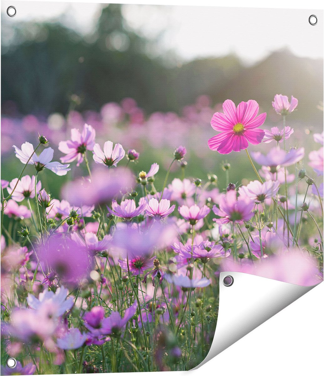 Gards Tuinposter Bloemenveld met Paarse Kosmos - 60x60 cm - Tuindoek - Tuindecoratie - Wanddecoratie buiten - Tuinschilderij Multikleur