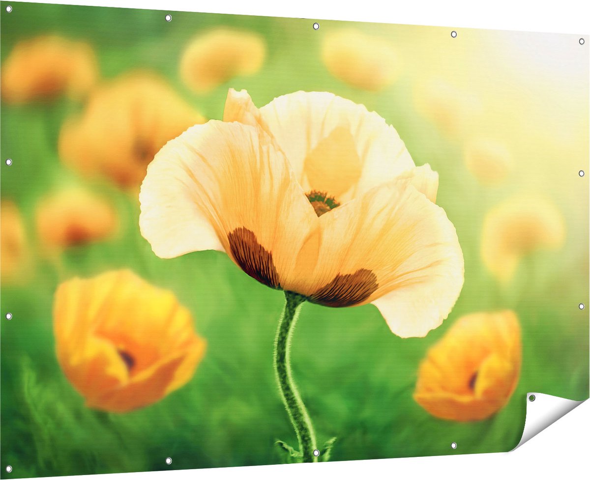 Gards Tuinposter Oranje Klaproos Bloemen - 180x120 cm - Tuindoek - Tuindecoratie - Wanddecoratie buiten - Tuinschilderij Multikleur