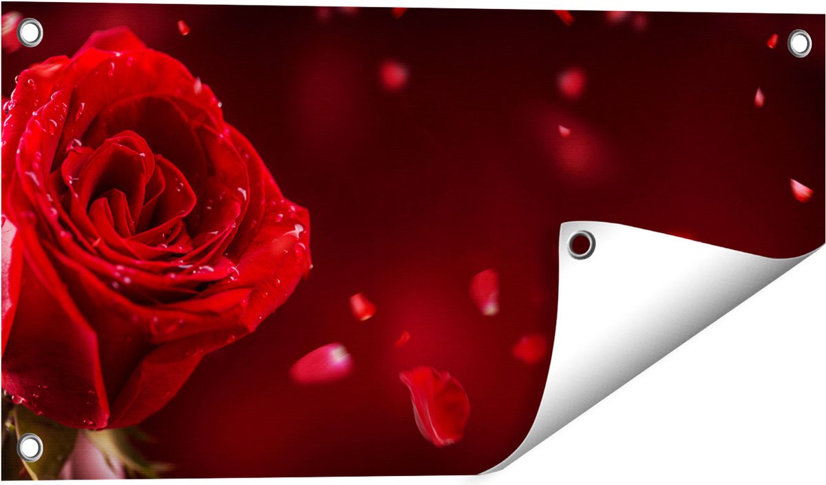 Gards Tuinposter Romantische Rode Roos - 60x30 cm - Tuindoek - Tuindecoratie - Wanddecoratie buiten - Tuinschilderij Multikleur
