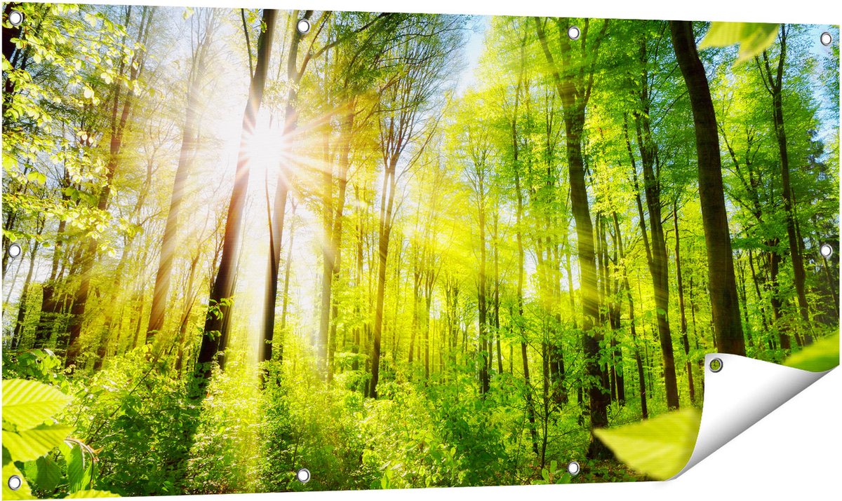 Gards Tuinposter Weg Omringd met Bomen in het Bos - 120x60 cm - Tuindoek - Tuindecoratie - Wanddecoratie buiten - Tuinschilderij Multikleur