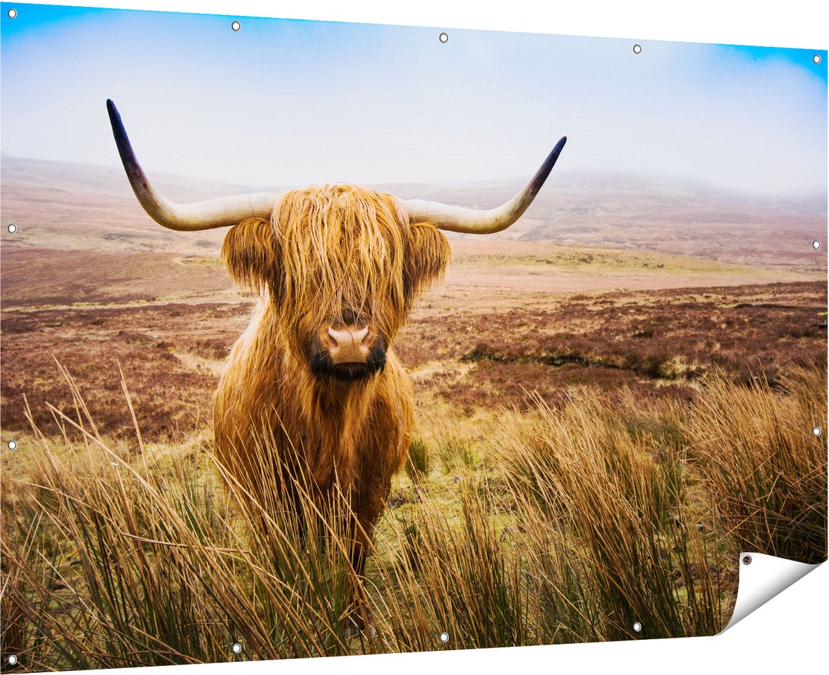 Gards Tuinposter Schotse Hooglander Koe in het Veld - 180x120 cm - Tuindoek - Tuindecoratie - Wanddecoratie buiten - Tuinschilderij Multikleur