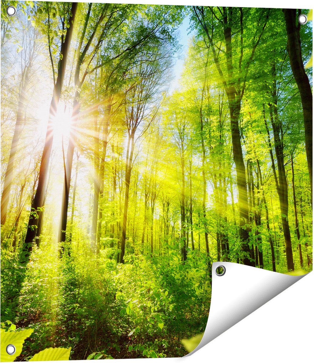 Gards Tuinposter Weg Omringd met Bomen in het Bos - 60x60 cm - Tuindoek - Tuindecoratie - Wanddecoratie buiten - Tuinschilderij Multikleur