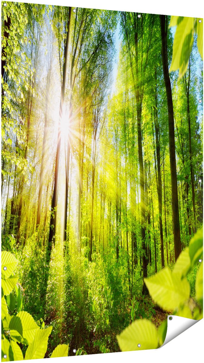 Gards Tuinposter Weg Omringd met Bomen in het Bos - 120x180 cm - Tuindoek - Tuindecoratie - Wanddecoratie buiten - Tuinschilderij Multikleur
