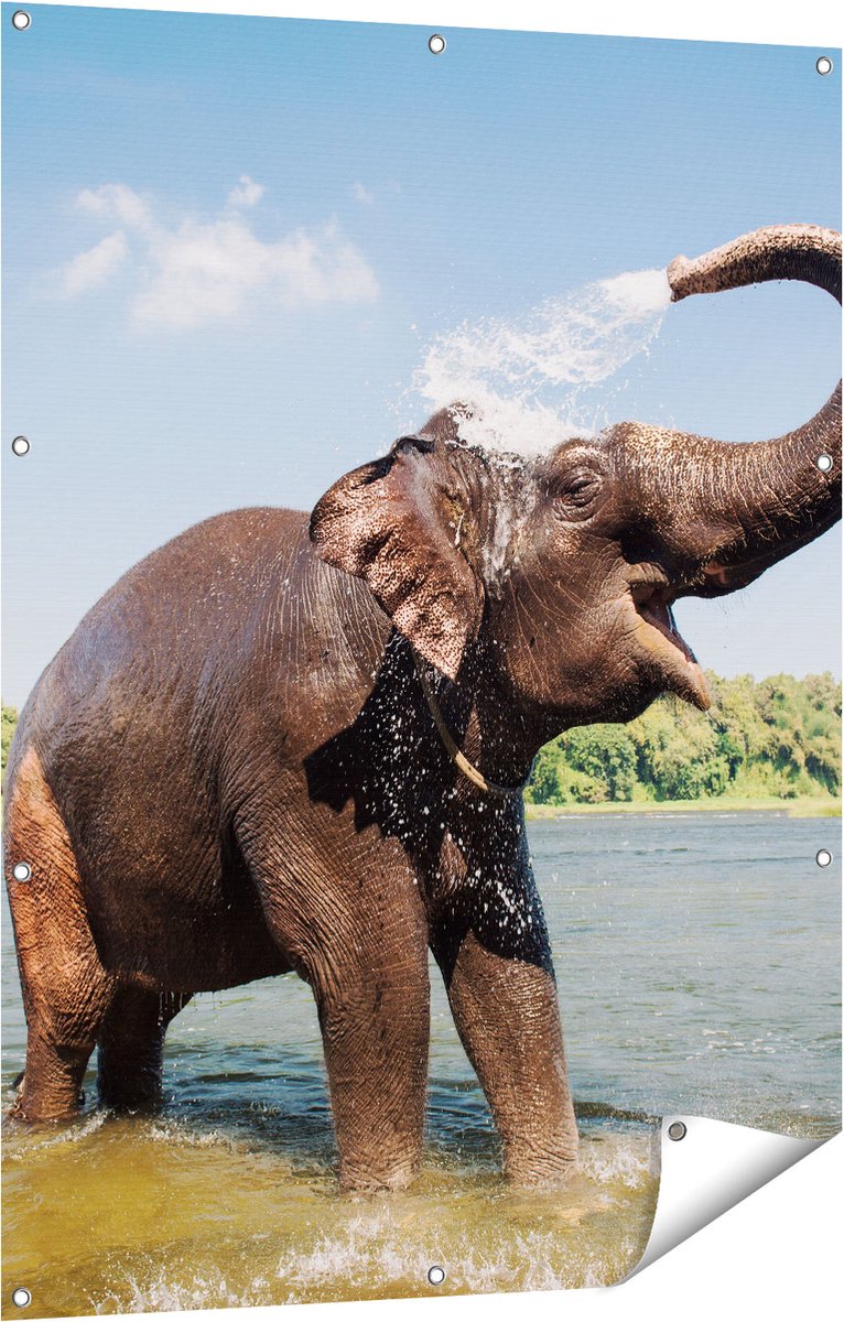 Gards Tuinposter Vrolijke Olifant in het Water - 90x120 cm - Tuindoek - Tuindecoratie - Wanddecoratie buiten - Tuinschilderij Multikleur
