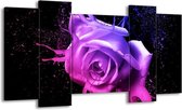 GroepArt - Schilderij - Roos - Roze, Paars, Blauw - 120x65 5Luik - Foto Op Canvas - GroepArt 6000+ Schilderijen 0p Canvas Art Collectie - Wanddecoratie