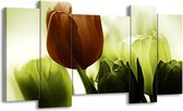 GroepArt - Schilderij - Tulpen - Bruin, Wit, Grijs - 120x65 5Luik - Foto Op Canvas - GroepArt 6000+ Schilderijen 0p Canvas Art Collectie - Wanddecoratie