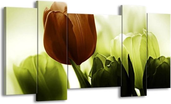 GroepArt - Schilderij - Tulpen - Bruin, Wit, Grijs - 120x65 5Luik - Foto Op Canvas - GroepArt 6000+ Schilderijen 0p Canvas Art Collectie - Wanddecoratie