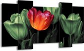 GroepArt - Schilderij - Tulp - Oranje, Groen, Zwart - 120x65 5Luik - Foto Op Canvas - GroepArt 6000+ Schilderijen 0p Canvas Art Collectie - Wanddecoratie
