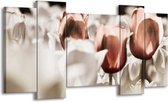 GroepArt - Schilderij - Tulpen - Bruin, Grijs, Wit - 120x65 5Luik - Foto Op Canvas - GroepArt 6000+ Schilderijen 0p Canvas Art Collectie - Wanddecoratie