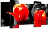 GroepArt - Schilderij - Tulpen - Rood, Zwart, Grijs - 120x65 5Luik - Foto Op Canvas - GroepArt 6000+ Schilderijen 0p Canvas Art Collectie - Wanddecoratie