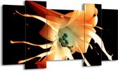 GroepArt - Schilderij - Bloem - Wit, Zwart, Oranje - 120x65 5Luik - Foto Op Canvas - GroepArt 6000+ Schilderijen 0p Canvas Art Collectie - Wanddecoratie